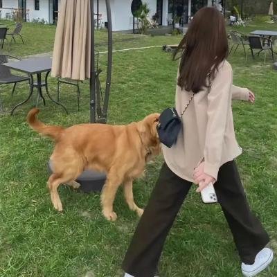 变钢锁
