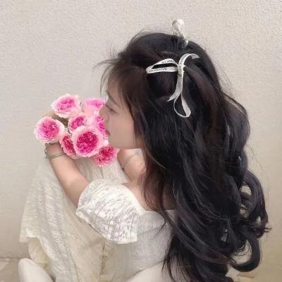 雾的子午线